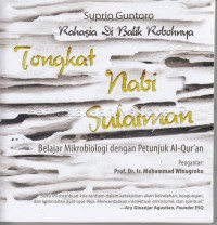 Tongkat Nabi Sulaiman