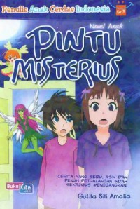 Pintu misterius